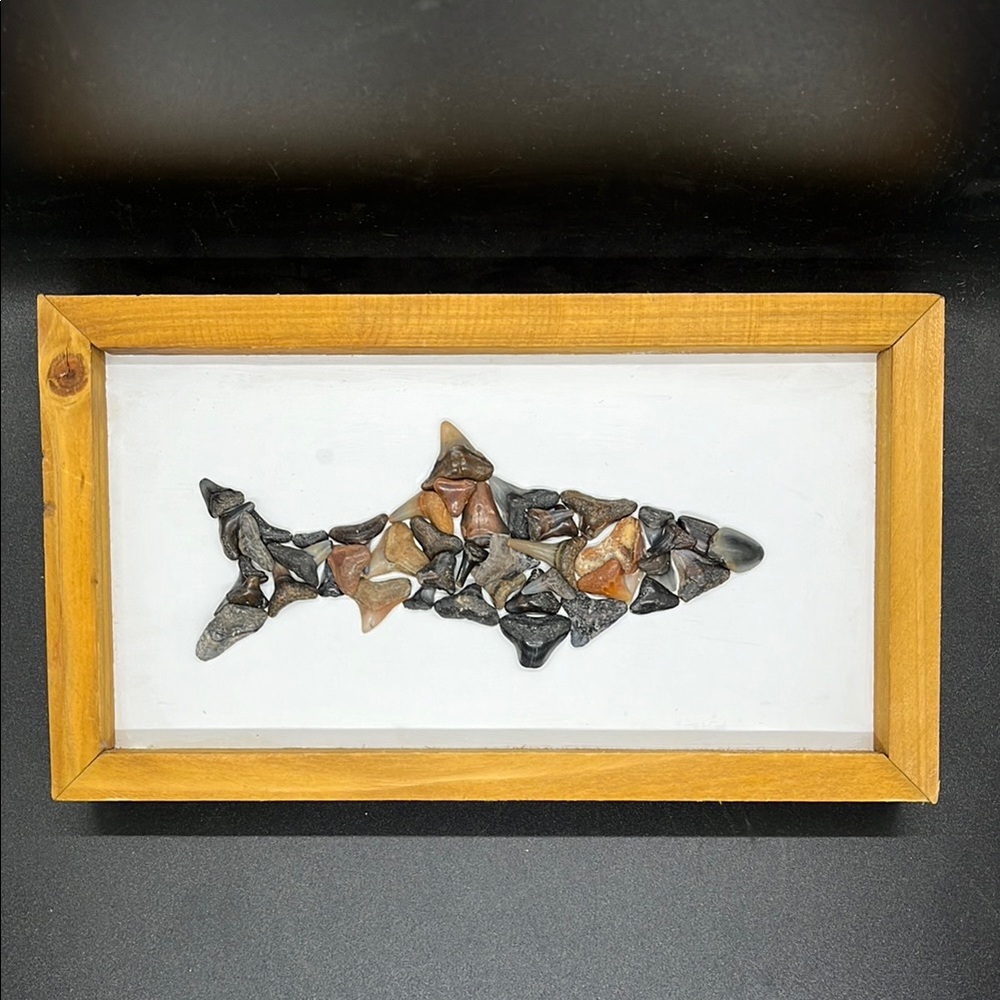 Handmade Framed Shark Teeth Art Mosaic in Natural Wood Frame